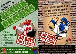Image result for Excalibur Martial Arts