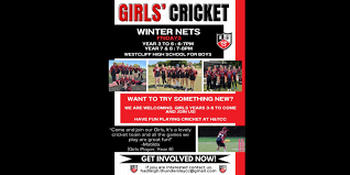 Image result for Hadleigh Cricket Club