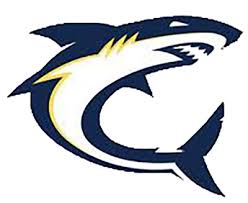 Image result for South Axholme Sharks Asc