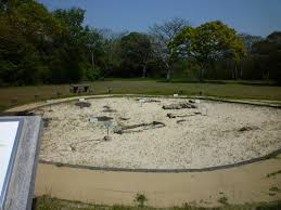 Image result for 土井ヶ浜遺跡　視線　故郷