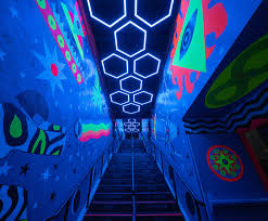 Image result for Llanelli Octopush Club