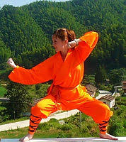 Image result for Kicking Dragon Kung Fu School, Belfast