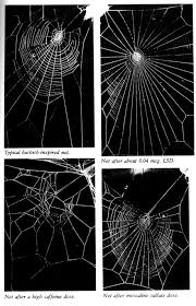 Image result for web patterns