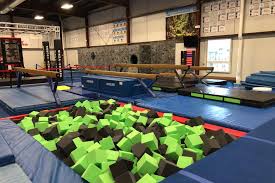 Image result for Fish trampoline and gymnastics club