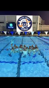 Image result for York Octopush Club