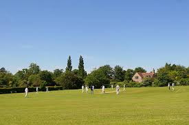Image result for Wilden Village Cricket Club
