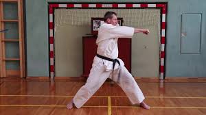 Image result for Junsui Shotokan Karate Do