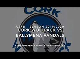 Image result for Ballymena Vandals