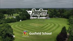 Image result for Gosfield Lawn Tennis Club