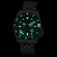 Image result for GMT watch