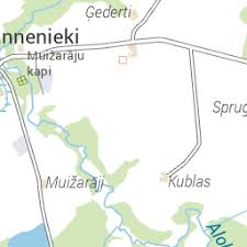 Attēlu rezultāti vaicājumam “Capsodes gothicus imago”