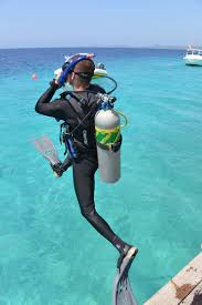 Image result for Headstream Divers
