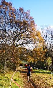 Image result for Heathside Badminton Club