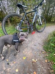 Image result for Angus Cycling Club