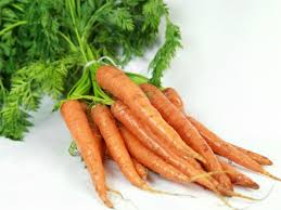 Image result for Möhren