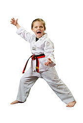 Image result for Swindon Hapkido Club