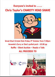 Image result for Great Chart Cricket Club