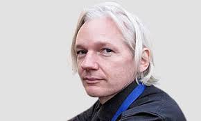 Image result for julian assange