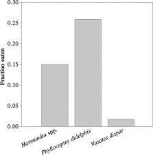 Attēlu rezultāti vaicājumam “Harmandia”
