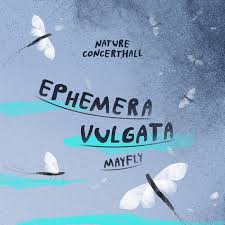 Attēlu rezultāti vaicājumam “Ephemera vulgata”