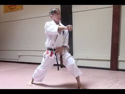 Image result for Hetton and Murton Karate Academy