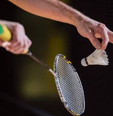 Image result for Lessa Em Badminton Club