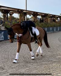 Image result for Fisher Equestrian
