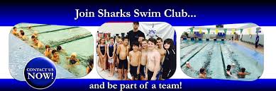 Image result for Sharks Swimming Club Of Mottingham