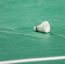 Image result for Barton Acorn Badminton Club