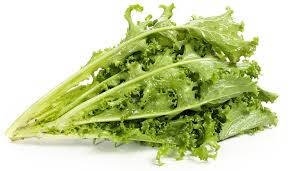 Image result for Endivie