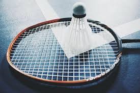 Image result for Bower Eagles Junior Badminton Club