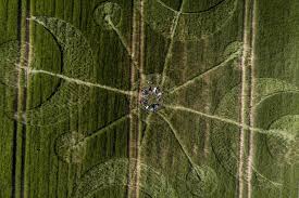 Image result for crop circles