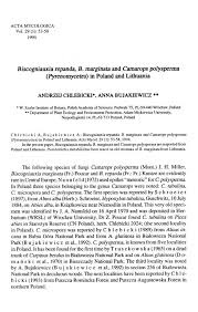 Attēlu rezultāti vaicājumam “Biscogniauxia repanda”