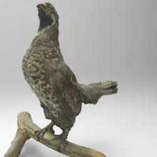 Attēlu rezultāti vaicājumam “Tetrastes bonasia”