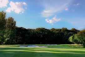 Image result for Surbiton Golf Club