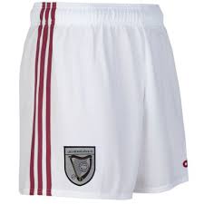 Image result for Bredagh G A C