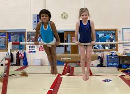 Image result for Wyre Forest School Of Gymnastics