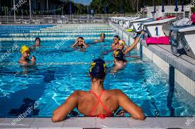 Image result for 1066 Swimmers