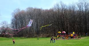 Image result for Brighton Kite Fliers