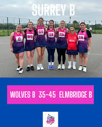 Image result for Elmbridge Netball Club