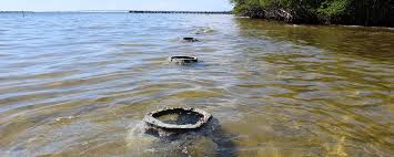 Image result for Suffolk Coastal Floaters