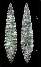 Image result for feuille-laurier-silex