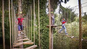 Image result for Go Ape! Leeds Castle