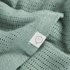 Attēlu rezultāti vaicājumam “Diaperis boleti nest”