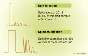 Image result for Splitz Gc