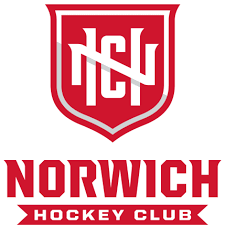 Image result for Norwich Dragons Hockey Club