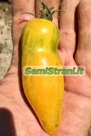 Afbeeldingsresultaat voor banana legs tomato