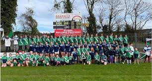 Image result for Sarsfield Gfc