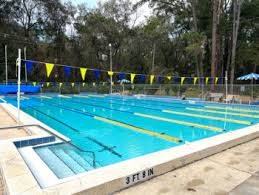 Image result for Belgrave Swimming Club