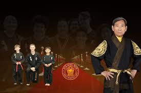 Image result for Martial Art Centre of Excellence